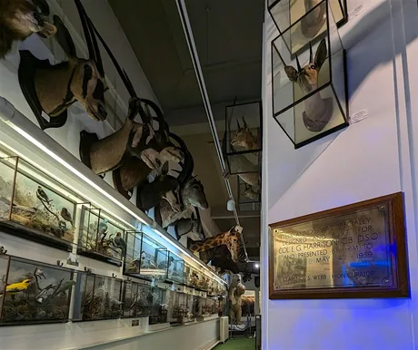 Lunchtime Talks at Kendal Museum: From Kenya to Kendal (and back again?)