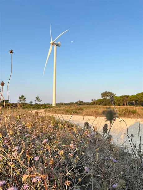 Bigbury Community Wind Turbine - Drop In