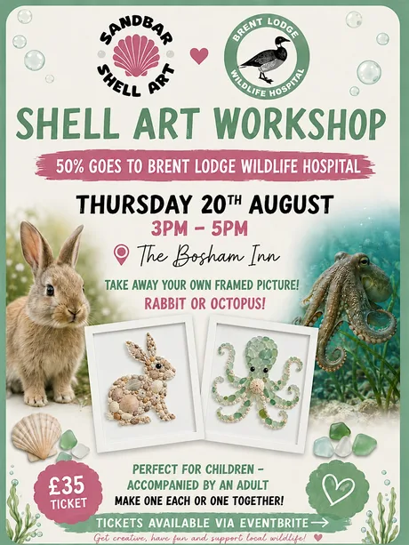 Shell Workshop for Brent Lodge Wildlife Hospital