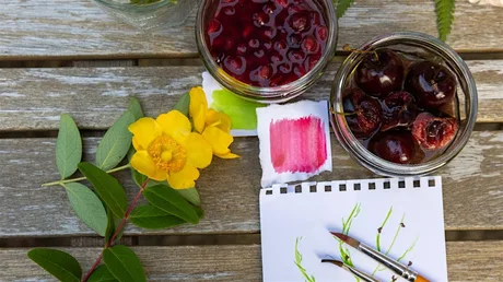Nature's Palette