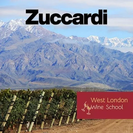 Zuccardi: Pure Mountain Wines from Argentina
