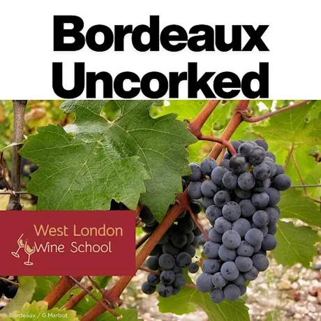 Bordeaux Uncorked Part II: Left Bank – Gravel, Glory & the Kingdom of Caber