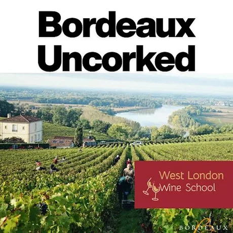 Bordeaux Uncorked Part III