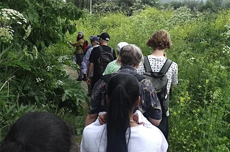 Foraging and Gleaning Walkshop