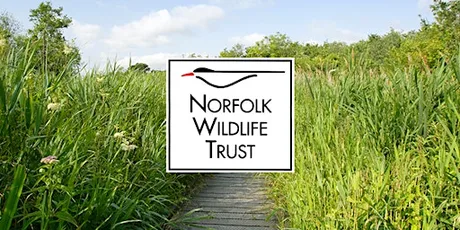 Wilder Communities - Gressenhall Community Tree Nursery