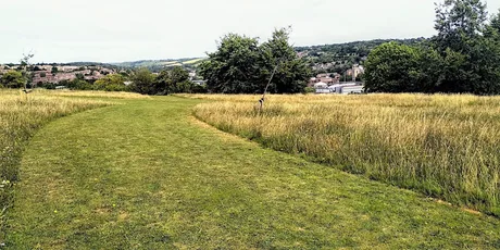Green Thursday at Tom Burt's Hill