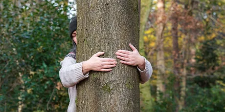 The Scottish Tree Hugging Tournament 2026