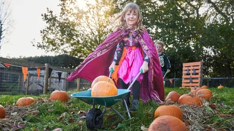 Halloween at Godstone Farm
