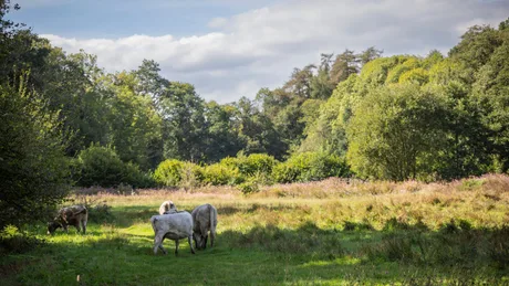 Autumn fun and folklore