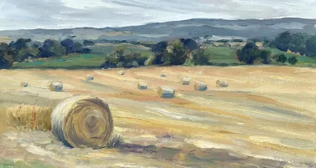 Simplify the Landscape