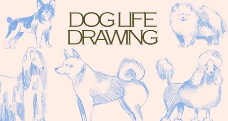 DOG LIFE DRAWING
