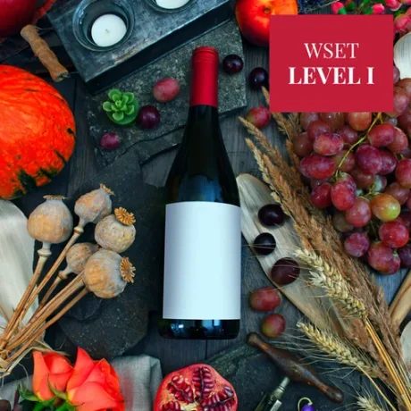 WSET Level 1 Award in Wines - One day course to start your wine journey