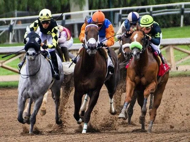 Race Meeting