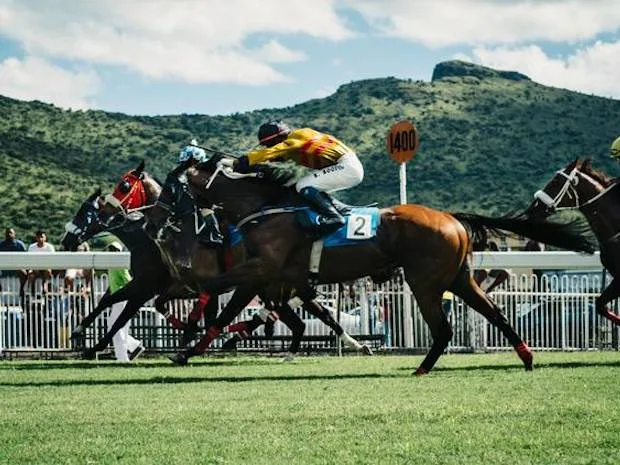Race Meeting