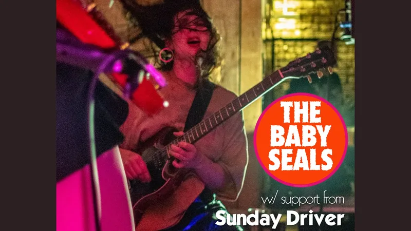 The Baby Seals/Sunday Driver