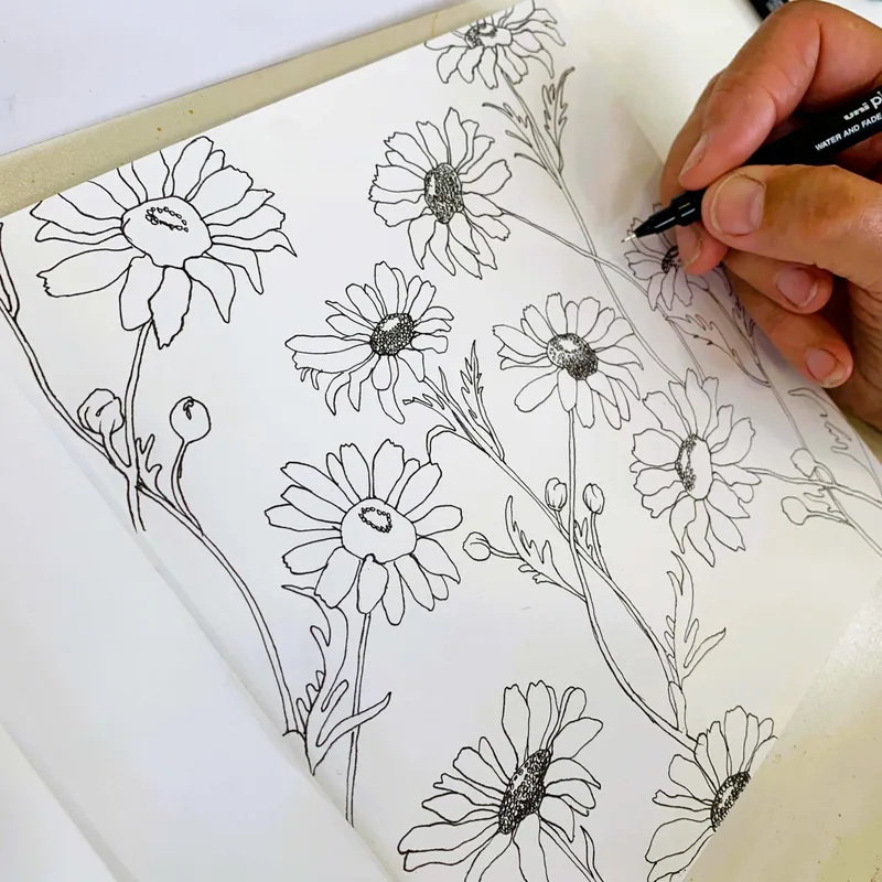 Friday Sketchbook Sessions