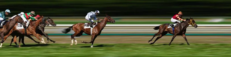 Grand National 2027 - Ladies Day Tickets