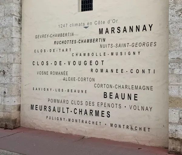 Chardonnay Day Masterclass