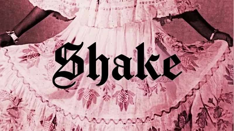 SHAKE - DJ JIMI