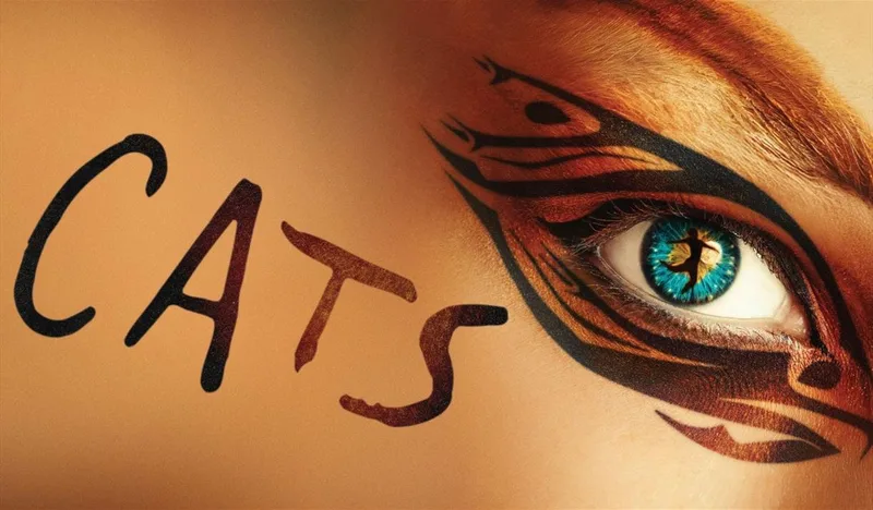 Cats at The Bristol Hippodrome