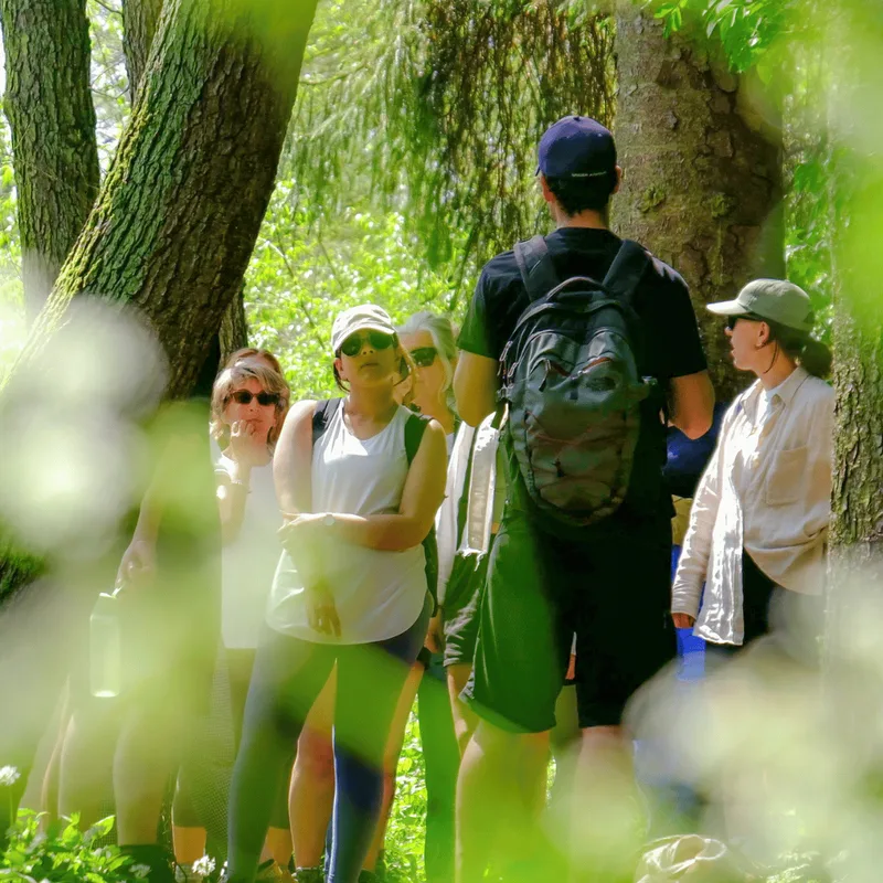 Foraging course – Totally Wild