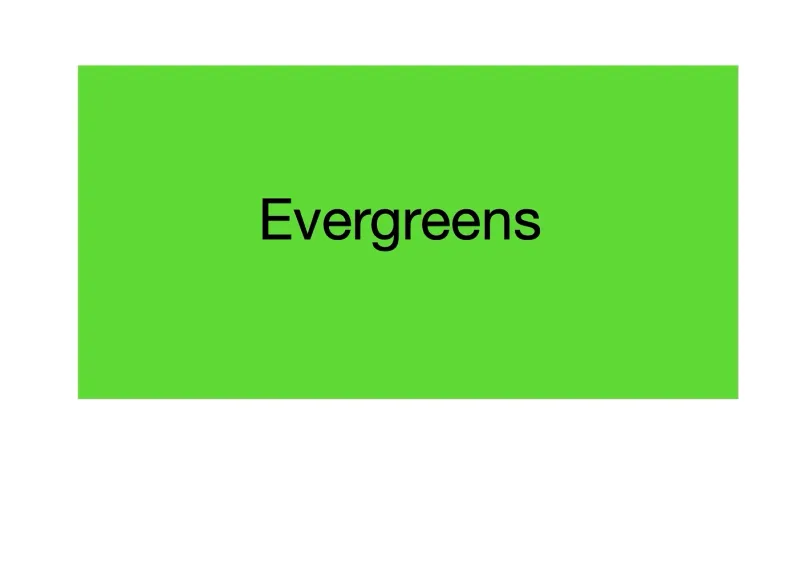 Evergreens