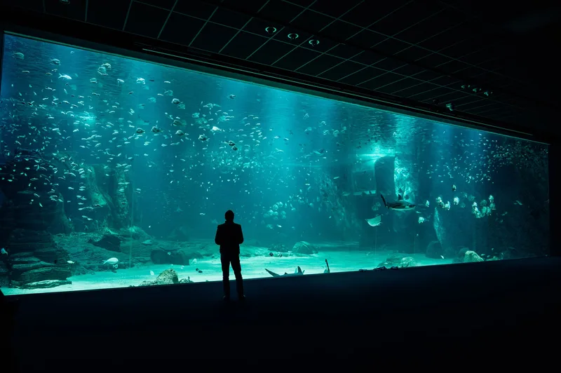 Sea Life Brighton - Standard Admission