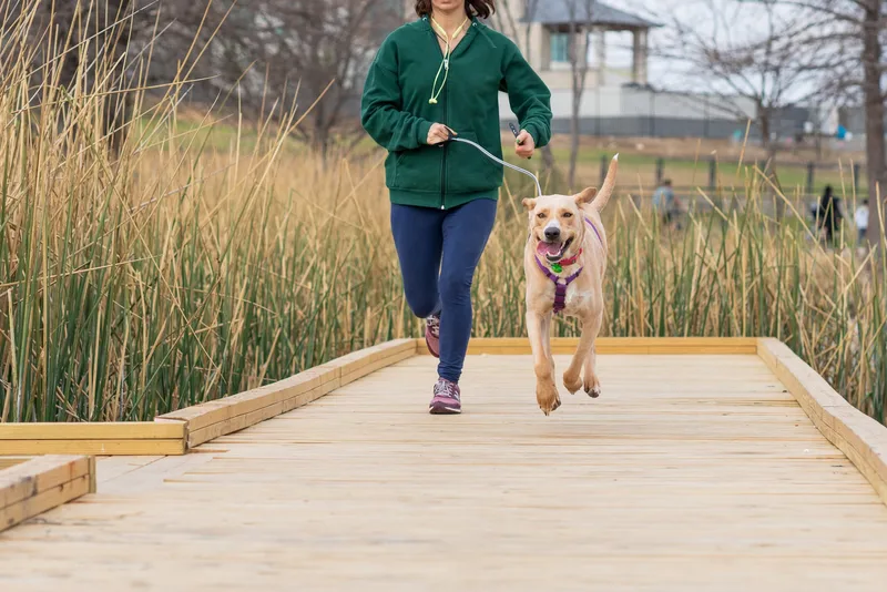 Trails and Tails 4 mile & 8 mile