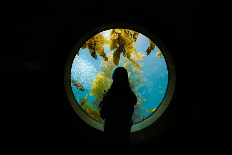 Sea Life Manchester - Standard Entry