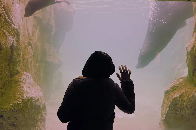 Sea Life Manchester - Standard Entry