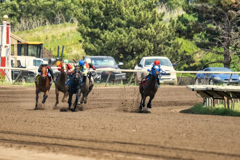 Countryside Raceday at Bath Racecourse