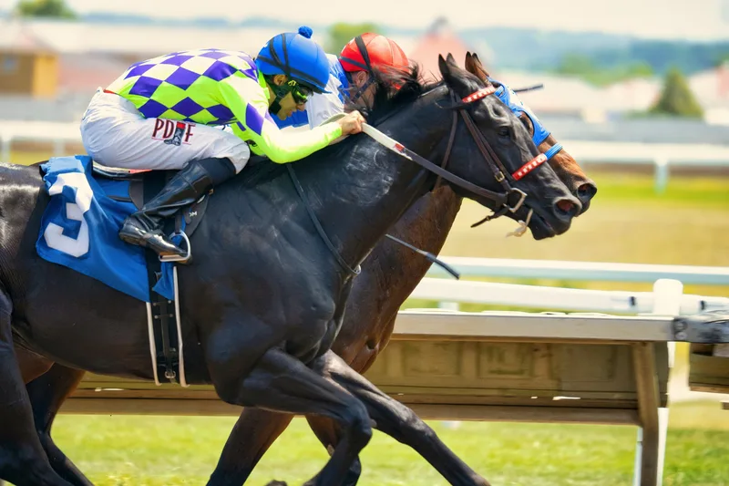 Seasonal Floodlit Racing - Newcastle Racecourse