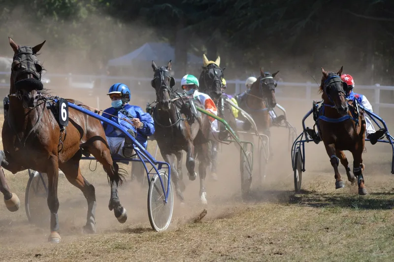 Autumn Floodlit Racing - Newcastle Racecourse