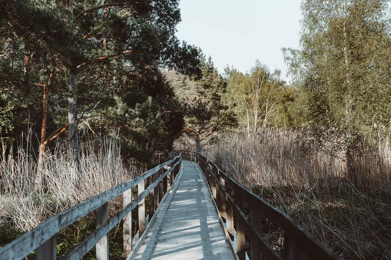 Waterways Nature Connection Programme