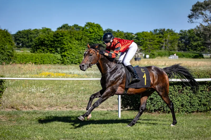 Seasonal Floodlit Racing - Newcastle Racecourse