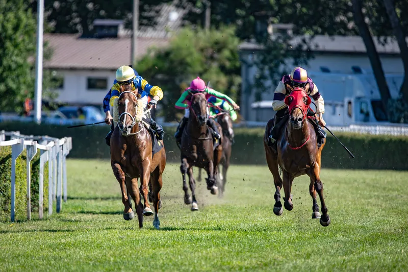 Autumn Floodlit Racing - Newcastle Racecourse