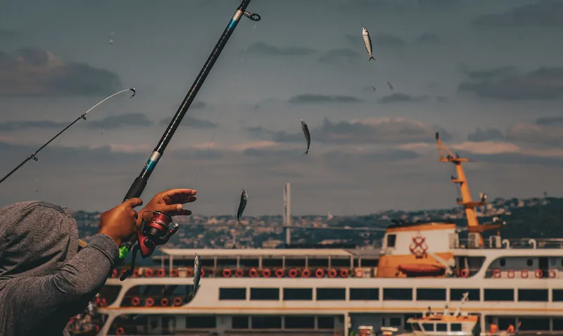 Free Junior Fishing Coaching | Highbridge Angling Association Juniors