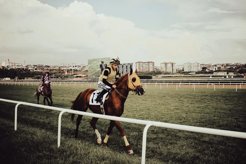 Afternoon Racing