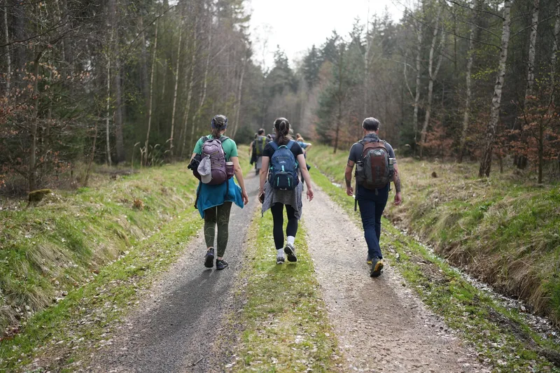 Guided walk: A tale of Three Windmills (almost!)