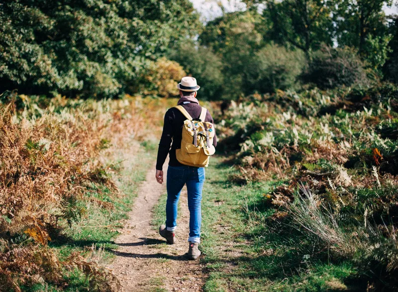 Belton House to Bellmount Tower Circular Guided Walk