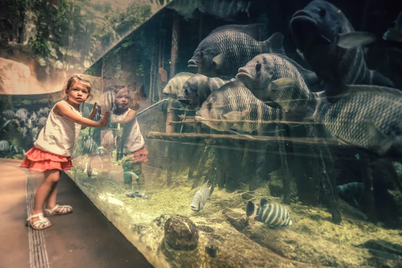 Sea Life Brighton - Standard Admission