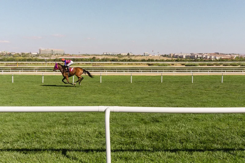 Seasonal Afternoon Racing - Lingfield Park Racecourse