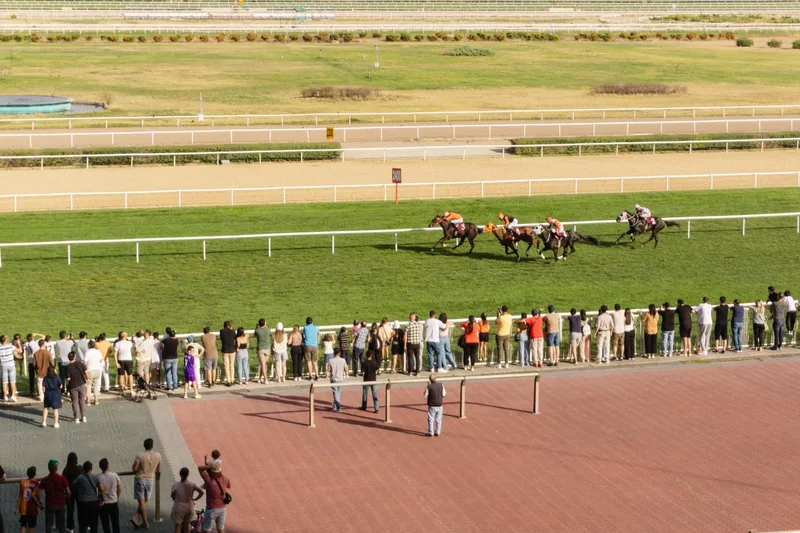 Autumn Floodlit Racing - Newcastle Racecourse