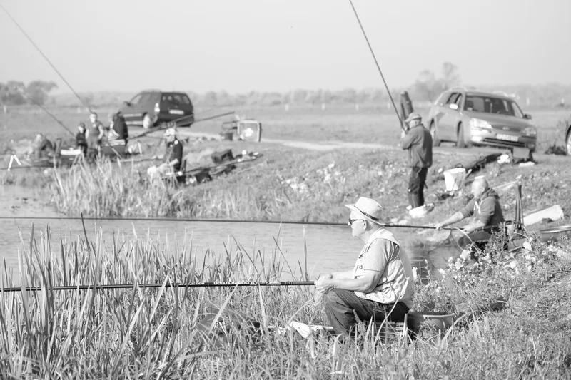 Free Junior Fishing Coaching | Highbridge Angling Association Juniors
