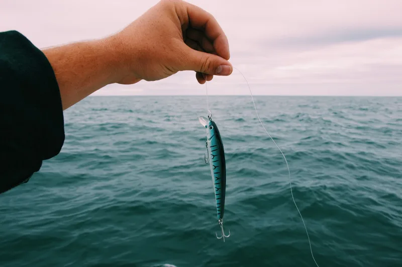 Free Junior Fishing Coaching | Highbridge Angling Association Juniors