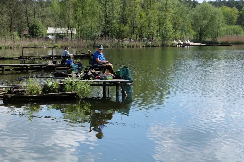 Free Junior Fishing Coaching | Highbridge Angling Association Juniors