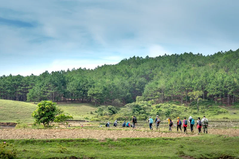 Step Into History Walks - People Who Shaped the Parkland and Gardens