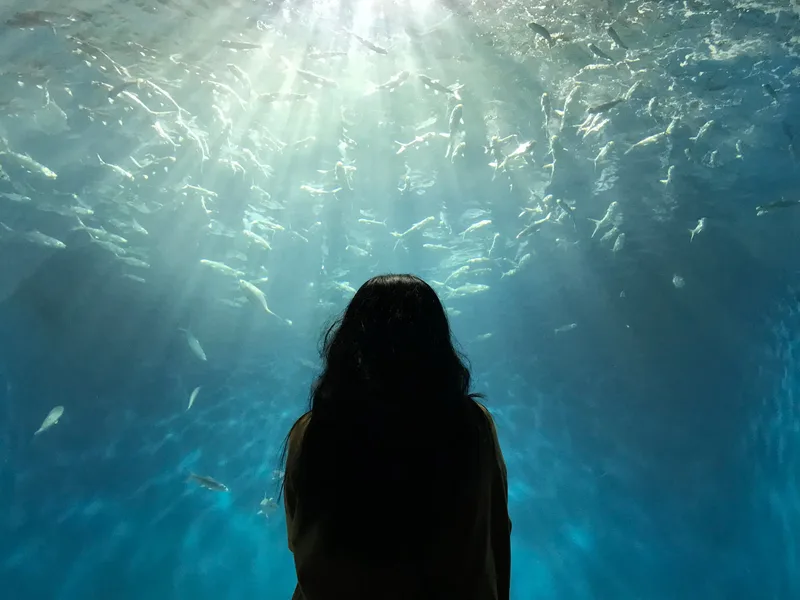 Sea Life Brighton - Standard Admission