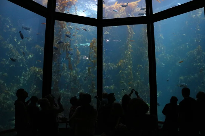 Sea Life Brighton - Standard Admission