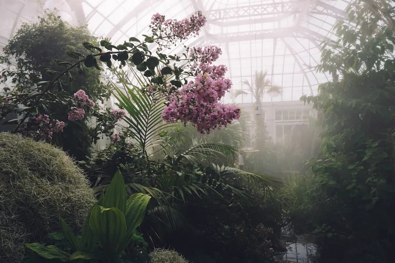 The Hothouse